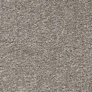 950 Persian Cat