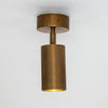 Evanston Directional Brass Ceiling Spotlight 20cm IP20