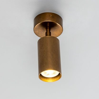 Evanston Directional Brass Ceiling Spotlight 20cm IP20