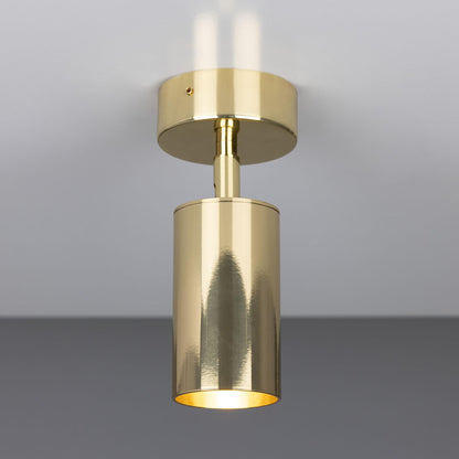 Evanston Directional Brass Ceiling Spotlight 20cm IP20