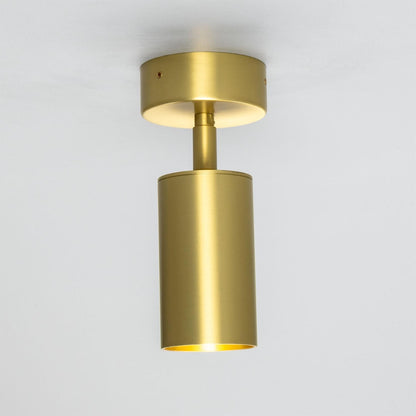 Evanston Directional Brass Ceiling Spotlight 20cm IP20