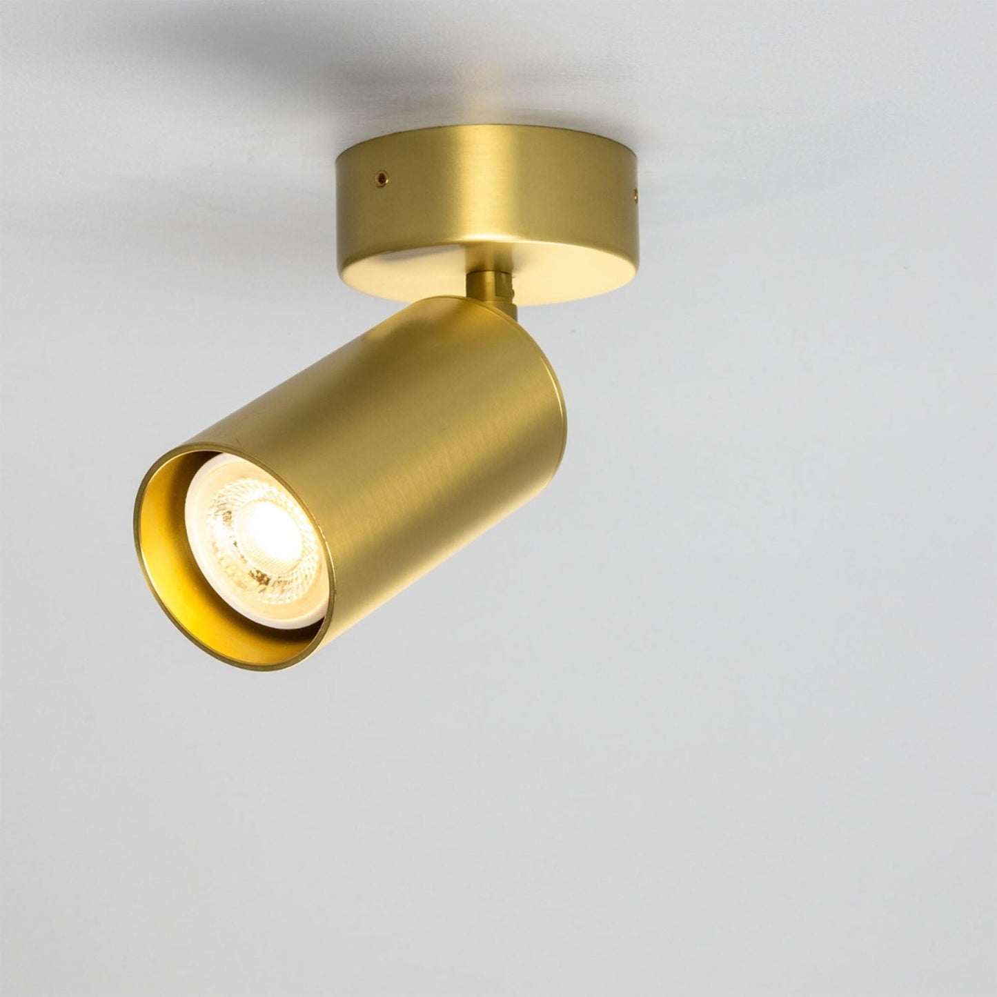 Evanston Directional Brass Ceiling Spotlight 20cm IP20