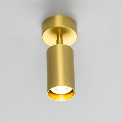 Evanston Directional Brass Ceiling Spotlight 20cm IP20