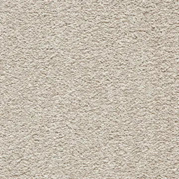 Noble Soft Carpet