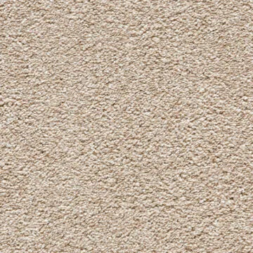 Noble Soft Carpet