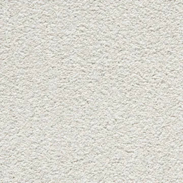 Noble Soft Carpet