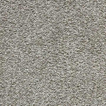 Noble Soft Carpet