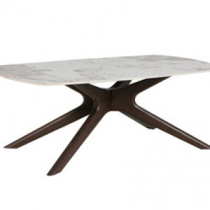 Ariya Coffee Table