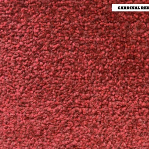 Durban Carpet